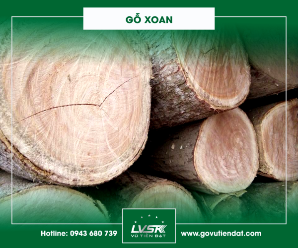 Gỗ Xoan